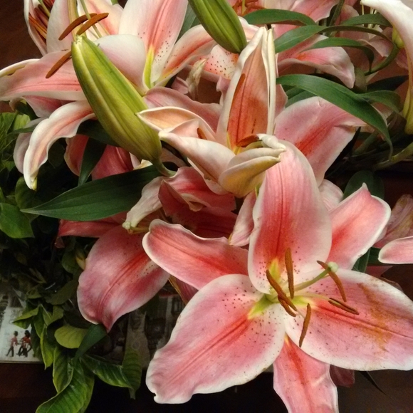 Meet your Posher, Alex - Picture 4 of 8